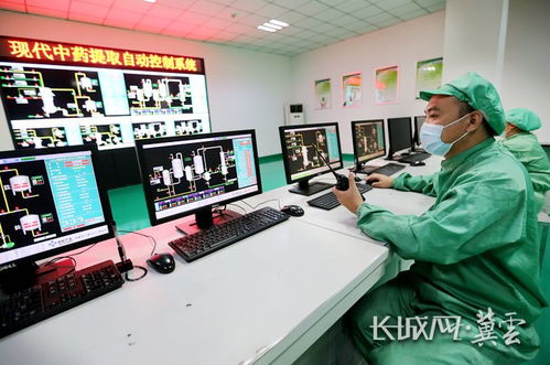 高质量发展调研行丨河北 做强中医药 发展有良方 企业管理咨询视角的探索与实践
